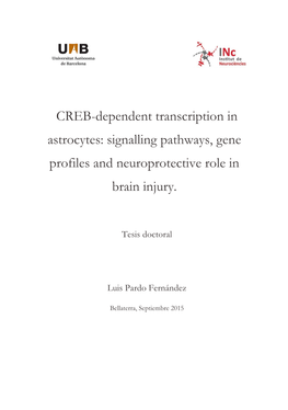 CREB-Dependent Transcription in Astrocytes: Signalling Pathways, Gene Profiles and Neuroprotective Role in Brain Injury
