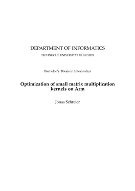 DEPARTMENT of INFORMATICS Optimization of Small Matrix