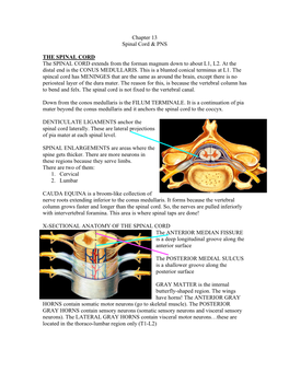 A&P Spinal PNS A