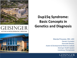 Dup15q Syndrome: Basic Concepts in Genetics and Diagnosis