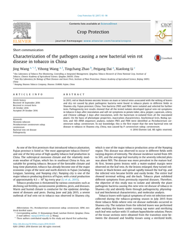 Characterization of the Pathogen Causing a New Bacterial Vein Rot Disease in Tobacco in China