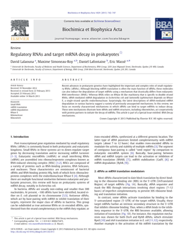 Regulatory Rnas and Target Mrna Decay in Prokaryotes☆