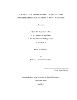 Fundamental Studies on the Effects of Catalyst On