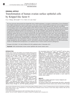 Transformation of Human Ovarian Surface Epithelial Cells by Kru¨Ppel-Like Factor 8