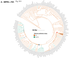 Media-11.Pdf