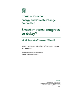 Smart Meters: Progress Or Delay?