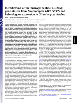 Identification of the Thiazolyl Peptide GE37468 Gene Cluster from Streptomyces ATCC 55365 and Heterologous Expression in Streptomyces Lividans