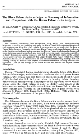 A Summary of Information and Comparison with the Brown Falcon Falco Berigora