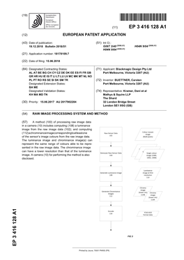 Raw Image Processing System and Method