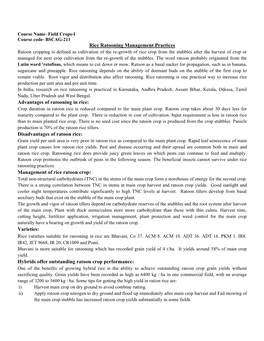 Rice Ratooning Management Practices