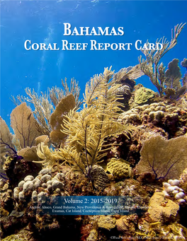 Bahamas Coral Reef Report Card