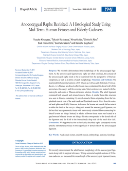 Anococcygeal Raphe Revisited: a Histological Study Using Mid-Term Human Fetuses and Elderly Cadavers