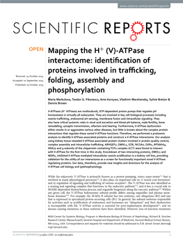 (V)-Atpase Interactome: Identification of Proteins Involved in Trafficking