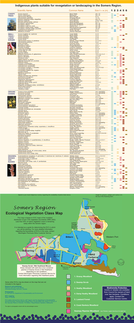 Somers Region Side B Web.Qxd