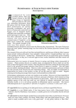 PULMONARIAS - a TALK by SALLY-ANN TURNER Karen Sparrow