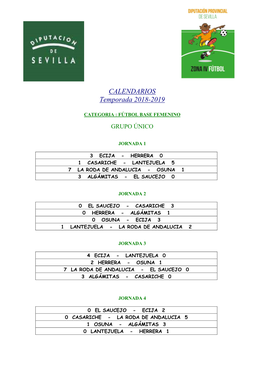 RESULTADOS Fútbol 7 ZIV Base Femenino. Tras 12 Jornadas