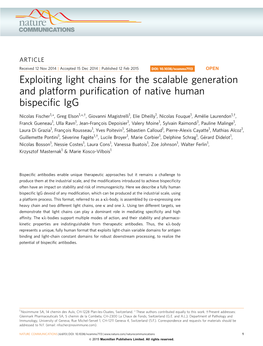 Exploiting Light Chains for the Scalable Generation and Platform Purification