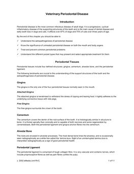 Veterinary Periodontal Disease