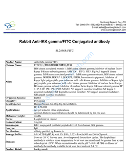 Rabbit Anti-IKK Gamma/FITC Conjugated Antibody-SL2898R-FITC