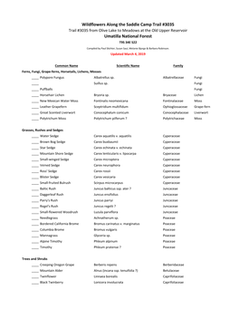 Wildflowers Along the Saddle Camp Trail #3035 Trail #3035 from Olive Lake to Meadows at the Old Upper Reservoir Umatilla National Forest T9S 34E S22