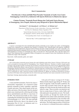 First Record: a Stem and Bulb Plant Parasitic Nematode at Garlic Area Centre Temanggung, Central Java, Indonesia with Species Reference to Ditylenchus Dipsaci