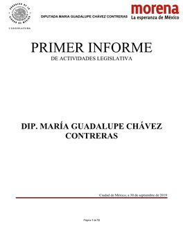 Primer Informe De Actividades Legislativa