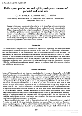 Daily Sperm Production and Epididymal Sperm Reserves of Pubertal and Adult Rats G