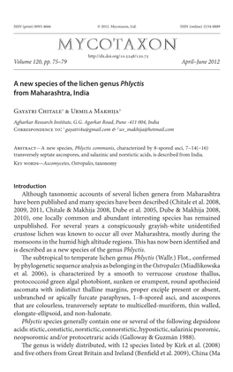 A New Species of the Lichen Genus <I>Phlyctis</I> from Maharashtra, India