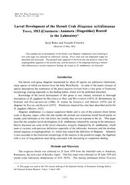 Larval Development of the Hermit Crab Diogenes Nitidimanus TERAO, 1913 (Crustacea : Anomura : Diogenidae) Reared in the Laboratory*