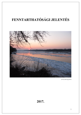 Fenntarthatósági Jelentés – 2017