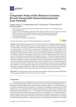 Comparative Study of Pine Reference Genomes Reveals Transposable Element Interconnected Gene Networks