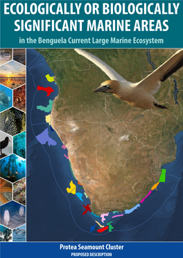 Protea Seamount Cluster 2020