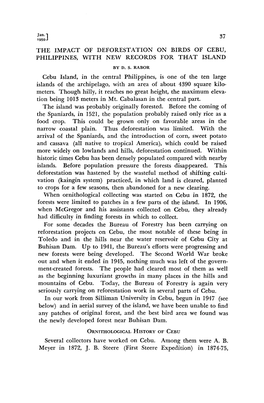 The Impact of Deforestation on Birds of Cebu, Philippines