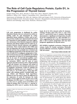 The Role of Cell Cycle Regulatory Protein, Cyclin D1, in the Progression of Thyroid Cancer Songtao Wang, M.D., Ph.D., Ricardo V