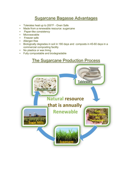 Advantages of Sugarcane Bagasse