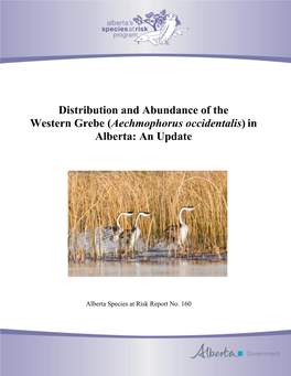 Distribution and Abundance of the Western Grebe (Aechmophorus Occidentalis) in Alberta: an Update