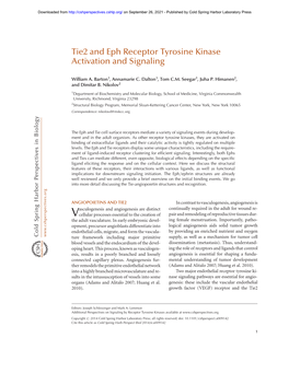 Tie2 and Eph Receptor Tyrosine Kinase Activation and Signaling