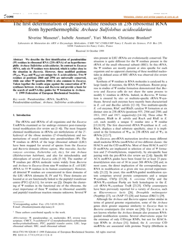 The ¢Rst Determination of Pseudouridine Residues in 23S