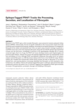 Epitope-Tagged Pkhd1 Tracks the Processing, Secretion, and Localization of Fibrocystin