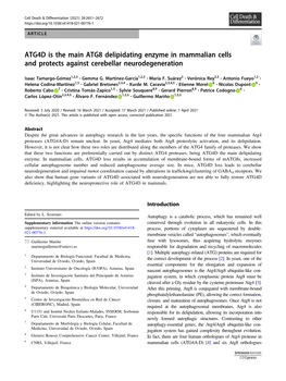 ATG4D Is the Main ATG8 Delipidating Enzyme in Mammalian Cells and Protects Against Cerebellar Neurodegeneration