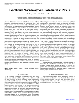 Hypothesis: Morphology & Development of Patella