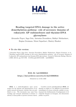 Reading Targeted DNA Damage in the Active