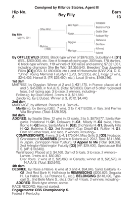 Bay Filly Barn 13 Hip No. 8