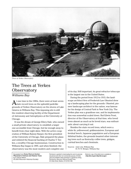 The Trees at Yerkes Observatory