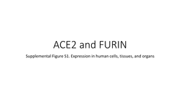 ACE2 and FURIN Supplemental Figure S1