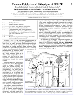 Common Epiphytes and Lithophytes of BELIZE 1 Bruce K