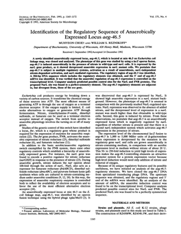 Identification of the Regulatory Sequence of Anaerobically Expressed Locus Aeg-46.5 MUHYEON Choet and WILLIAM S