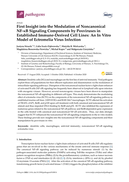 First Insight Into the Modulation of Noncanonical NF-Κb Signaling