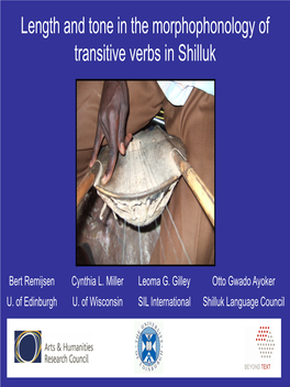 Length and Tone in the Morphophonology of Transitive Verbs in Shilluk