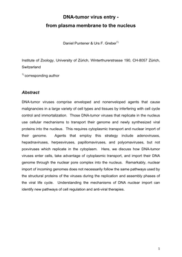 DNA-Tumor Virus Entry